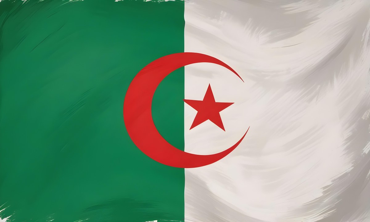 Digital Painting Flag Of Algeria Bold And Slim Lines Brush Strokes 9 99ae