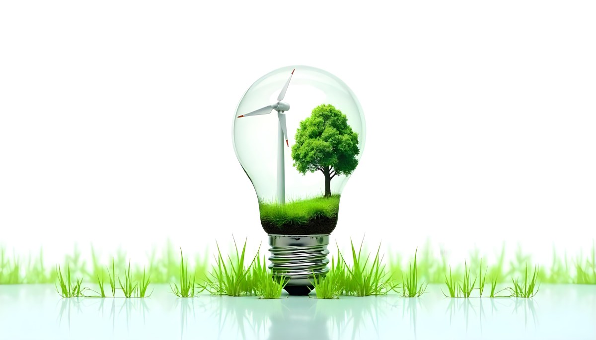 Light Bulb With Solar Panel On Top A Wind Turbine And A Tree Inside Green Grass White Background 3 059f