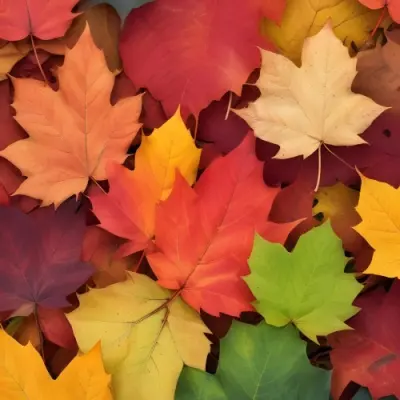 A Pile Of Colorful Autumn Leaves In Shades Of Red Orange Yellow Green And Brown Creating A Vibrant And Textured Pattern Filling The Entire Frame With A Natural And Seasonal Aesthetic 22 0c31