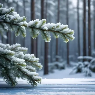 A Snowy Fir Branch On A Blue Wooden Table With A Blurred Background Of A Winter Forest And Falling Snow 6 83b8