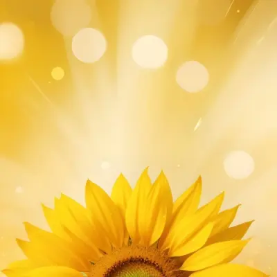 A Sunflower With Yellow Petals And A Yellow Center Bright Yellow Background With Bokeh Effect And Light Rays 14 8d88