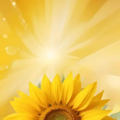 A Sunflower With Yellow Petals And A Yellow Center Bright Yellow Background With Bokeh Effect And Light Rays 16 52b3
