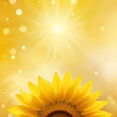 A Sunflower With Yellow Petals And A Yellow Center Bright Yellow Background With Bokeh Effect And Light Rays 18 4c49