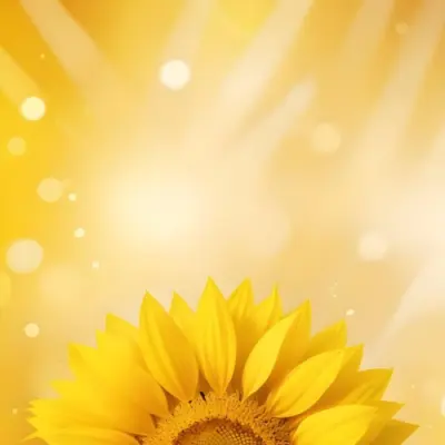 A Sunflower With Yellow Petals And A Yellow Center Bright Yellow Background With Bokeh Effect And Light Rays 19 E43b