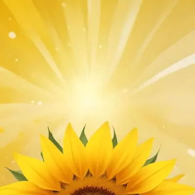 A Sunflower With Yellow Petals And A Yellow Center Bright Yellow Background With Bokeh Effect And Light Rays 26 B079