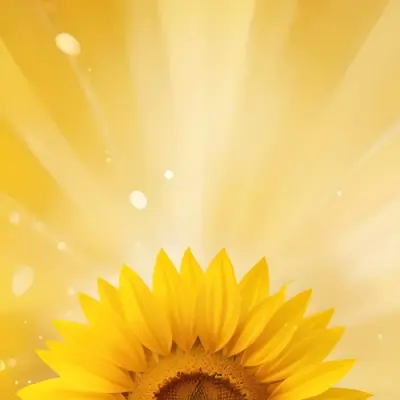 A Sunflower With Yellow Petals And A Yellow Center Bright Yellow Background With Bokeh Effect And Light Rays 4 40f7