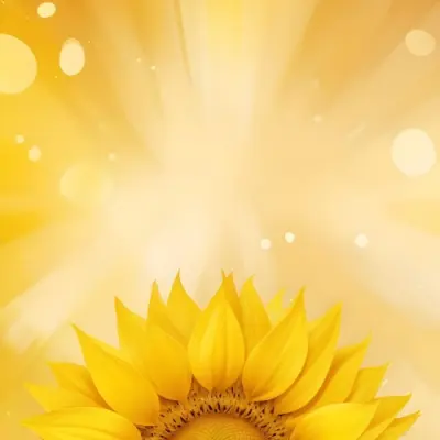 A Sunflower With Yellow Petals And A Yellow Center Bright Yellow Background With Bokeh Effect And Light Rays 8 3083