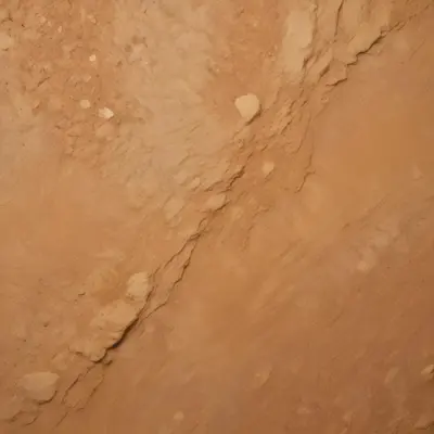 A Textured Golden Brown Surface With A Rough Grainy Appearance Resembling A Natural Material Like Sandstone Or Cork 5 E244