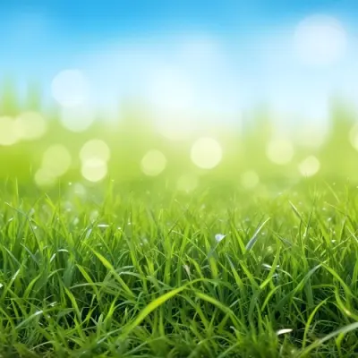 A Vibrant Green Grass Field Under A Clear Blue Sky With Bokeh Effect Creating A Dreamy And Bright Outdoor Scene 10 Eeba