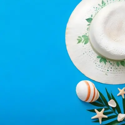 A White Hat A Seashell A Starfish And A Green Leaf On A Green Background 13 7e87