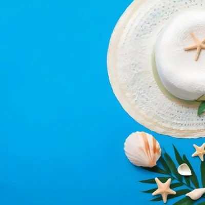 A White Hat A Seashell A Starfish And A Green Leaf On A Green Background 16 56f5