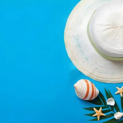 A White Hat A Seashell A Starfish And A Green Leaf On A Green Background 18 0a5f