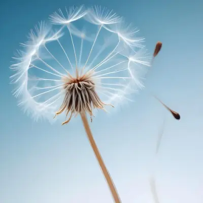 Dandelion Seed With White Filaments Attached To A Small Brown Seed Light Blue Background Soft Lighting Macro Photography Delicate And Airy Composition 1 79ad