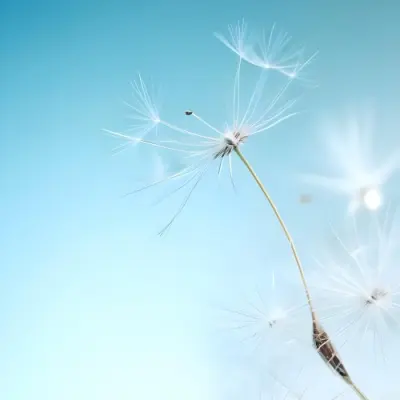 Dandelion Seed With White Filaments Attached To A Small Brown Seed Light Blue Background Soft Lighting Macro Photography Delicate And Airy Composition 2 Cc9f