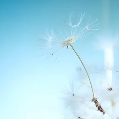 Dandelion Seed With White Filaments Attached To A Small Brown Seed Light Blue Background Soft Lighting Macro Photography Delicate And Airy Composition 26 8df0