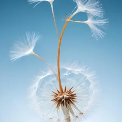 Dandelion Seed With White Filaments Attached To A Small Brown Seed Light Blue Background Soft Lighting Macro Photography Delicate And Airy Composition 5 F0b7
