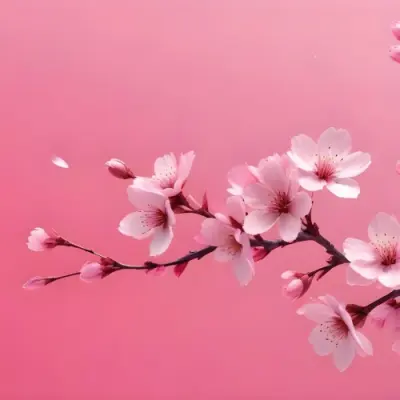 Digital Painting Cherry Blossom Branch With Pink Flowers And Falling Petals On A Vibrant Pink Gradient Background Soft Lighting Minimalist Composition Japanese Aesthetic Spring Season Bold And Slim Lines Brush Str 31 521d