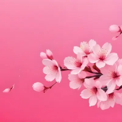Digital Painting Cherry Blossom Branch With Pink Flowers And Falling Petals On A Vibrant Pink Gradient Background Soft Lighting Minimalist Composition Japanese Aesthetic Spring Season Bold And Slim Lines Brush Str 70 9a54