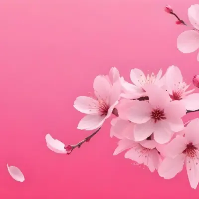 Digital Painting Cherry Blossom Branch With Pink Flowers And Falling Petals On A Vibrant Pink Gradient Background Soft Lighting Minimalist Composition Japanese Aesthetic Spring Season Bold And Slim Lines Brush Str 8 0a19