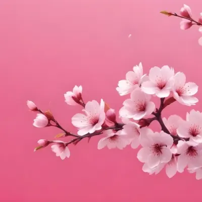 Digital Painting Cherry Blossom Branch With Pink Flowers And Falling Petals On A Vibrant Pink Gradient Background Soft Lighting Minimalist Composition Japanese Aesthetic Spring Season Bold And Slim Lines Brush Str 9 6338