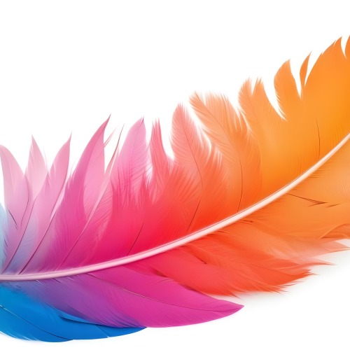 Digital Painting Colorful Feathers In Shades Of Pink Orange And Blue Against A White Background Bold And Slim Lines Brush Strokes 12 2b31
