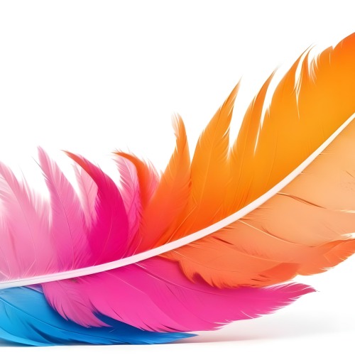 Digital Painting Colorful Feathers In Shades Of Pink Orange And Blue Against A White Background Bold And Slim Lines Brush Strokes 13 6ec3