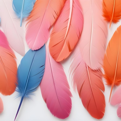 Digital Painting Colorful Feathers In Shades Of Pink Orange And Blue Against A White Background Bold And Slim Lines Brush Strokes 14 8d7d