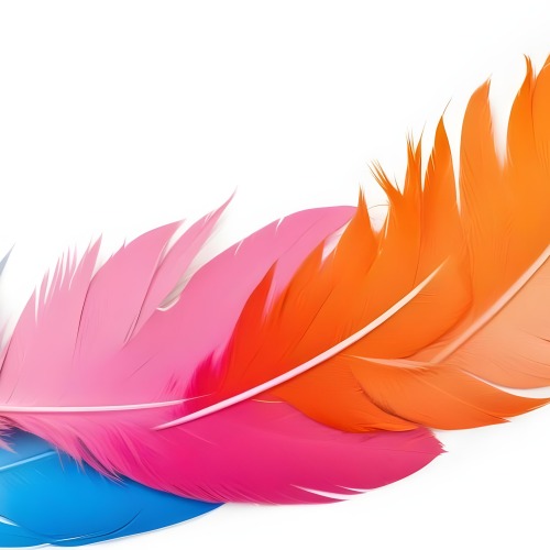 Digital Painting Colorful Feathers In Shades Of Pink Orange And Blue Against A White Background Bold And Slim Lines Brush Strokes 15 2fab