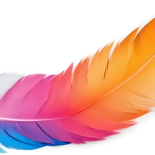 Digital Painting Colorful Feathers In Shades Of Pink Orange And Blue Against A White Background Bold And Slim Lines Brush Strokes 16 D239