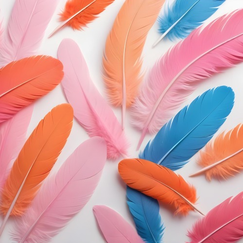 Digital Painting Colorful Feathers In Shades Of Pink Orange And Blue Against A White Background Bold And Slim Lines Brush Strokes 3 4a88