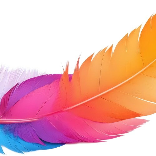 Digital Painting Colorful Feathers In Shades Of Pink Orange And Blue Against A White Background Bold And Slim Lines Brush Strokes 7 C296
