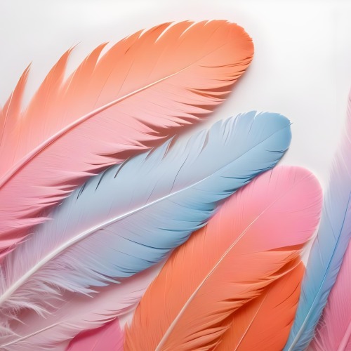 Digital Painting Colorful Feathers In Shades Of Pink Orange And Blue Against A White Background Bold And Slim Lines Brush Strokes 8 78c7