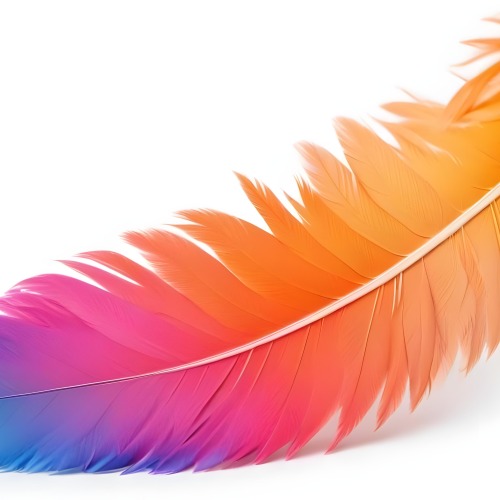Digital Painting Colorful Feathers In Shades Of Pink Orange And Blue Against A White Background Bold And Slim Lines Brush Strokes 9 8e81