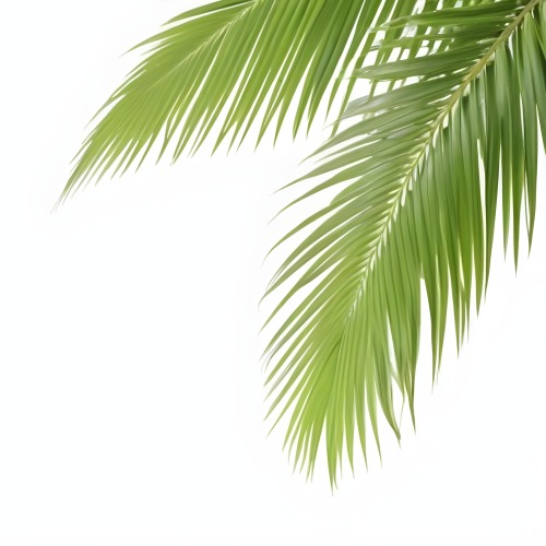 Digital Painting Green Palm Leaves Against A White Background Bold And Slim Lines Brush Strokes 12 F8d6