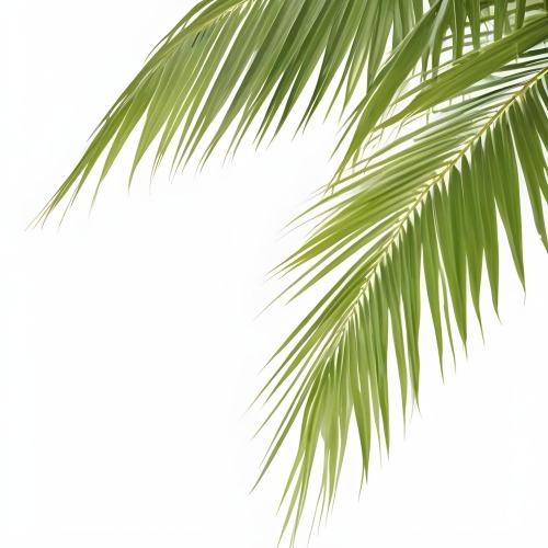 Digital Painting Green Palm Leaves Against A White Background Bold And Slim Lines Brush Strokes 13 0848