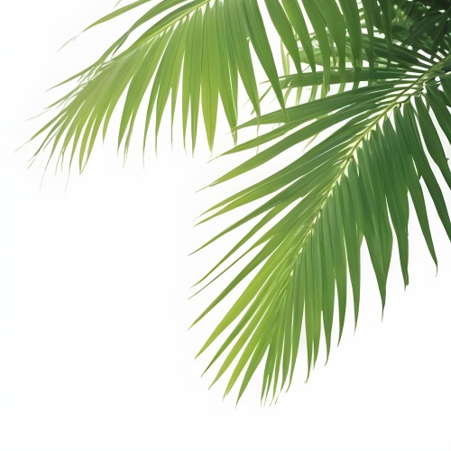 Digital Painting Green Palm Leaves Against A White Background Bold And Slim Lines Brush Strokes 14 C7c3