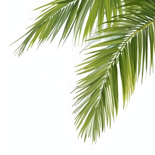 Digital Painting Green Palm Leaves Against A White Background Bold And Slim Lines Brush Strokes 2 D053