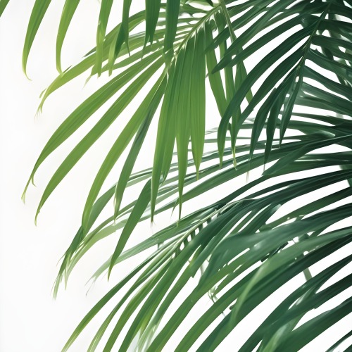 Digital Painting Green Palm Leaves Against A White Background Bold And Slim Lines Brush Strokes 20 3121