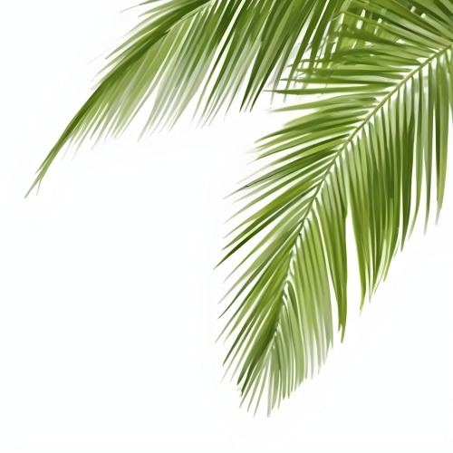 Digital Painting Green Palm Leaves Against A White Background Bold And Slim Lines Brush Strokes 4 06b6