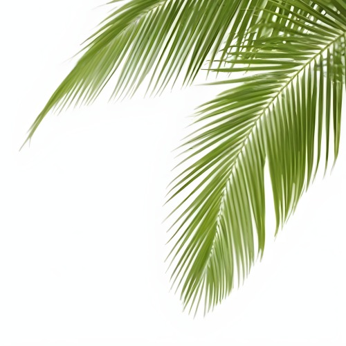 Digital Painting Green Palm Leaves Against A White Background Bold And Slim Lines Brush Strokes 5 5601