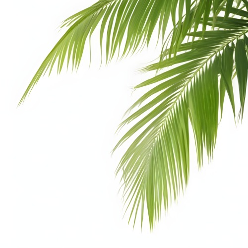 Digital Painting Green Palm Leaves Against A White Background Bold And Slim Lines Brush Strokes 6 Fdab