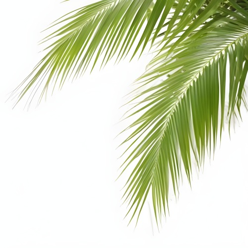Digital Painting Green Palm Leaves Against A White Background Bold And Slim Lines Brush Strokes 7 6af9