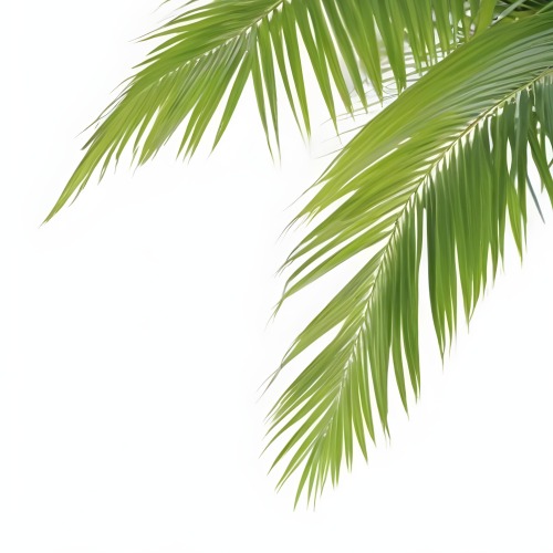 Digital Painting Green Palm Leaves Against A White Background Bold And Slim Lines Brush Strokes 8 4bab