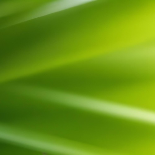 Green Abstract Background With Blurred Diagonal Lines 3 D030