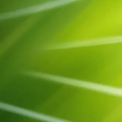 Green Abstract Background With Blurred Diagonal Lines 70 Ee7d