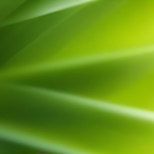Green Abstract Background With Blurred Diagonal Lines 71 79d5