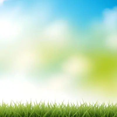 Green Grass With Blurred Blue Sky And White Clouds In The Background 1 Aca1