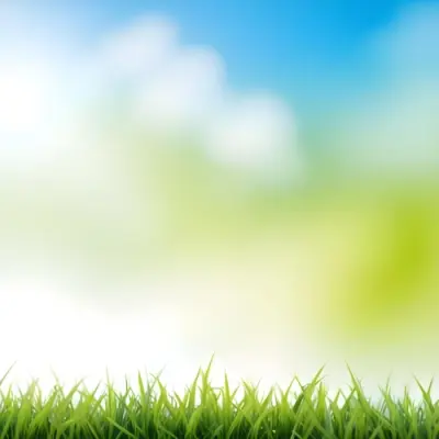 Green Grass With Blurred Blue Sky And White Clouds In The Background 12 561b