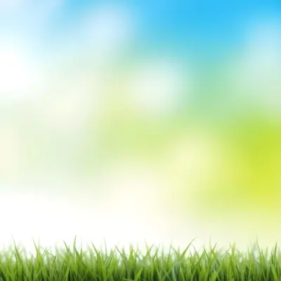 Green Grass With Blurred Blue Sky And White Clouds In The Background 13 3cac