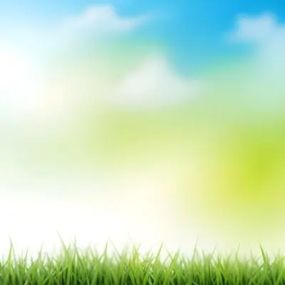 Green Grass With Blurred Blue Sky And White Clouds In The Background 14 B8b2